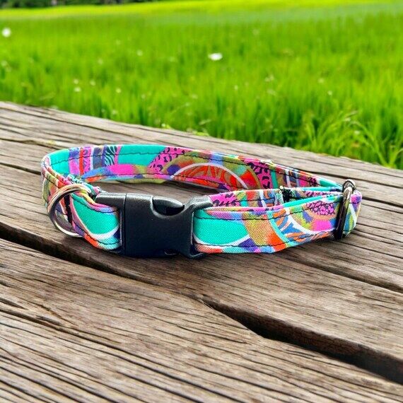 Rainbow Dog Collar: Handmade Pet Accessory...