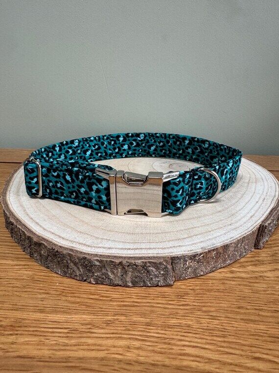 Adjustable dog collar in TURQUOISE animal pri...