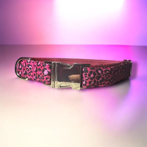 Pink Leopard Pet Collar – Bold, Stylish & H...