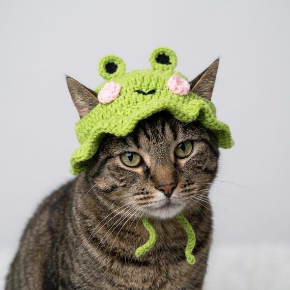 Handmade Soft Crochet Frog Cat Hat | Cute Gre...