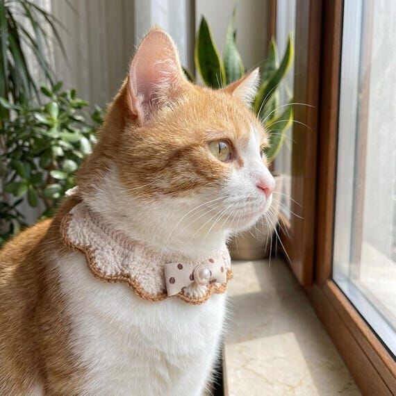 Elegant Beige&Brown Crochet Collar for Cats C...