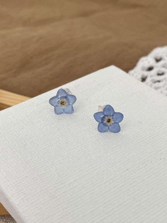 Forget me not earrings, pressed flower stud e...