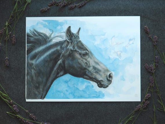 Watercolor Black Horse Portrait, A3 | Equestr...