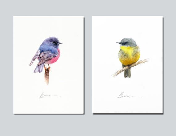 Original Bird Watercolor Painting Set: Galler...