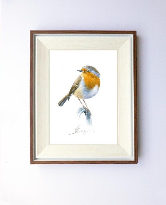 Framed Original Watercolor Painting of Robin ...