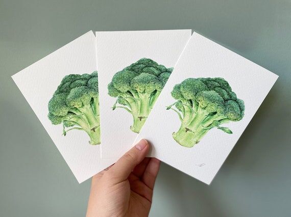 Broccoli - greeting card, Set of 3 postcards....