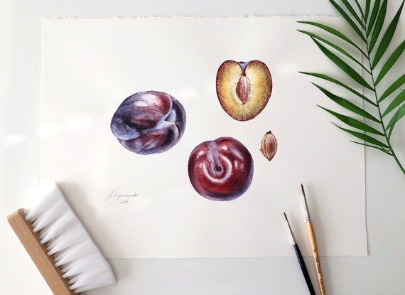 Red Plums illustration - Handmade, Watercolou...