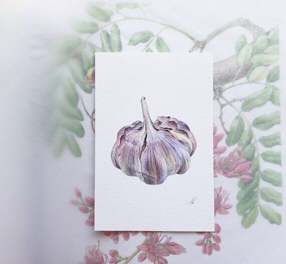 Garlic - Handmade Botanical Card, Botanical I...