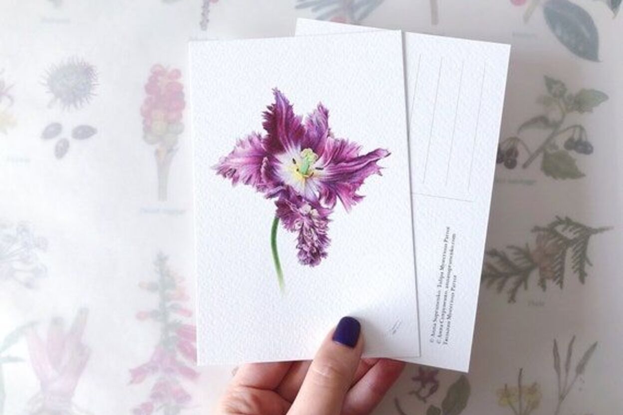 Botanical Art Store UK