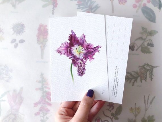 Parrot Tulip, Handmade Postcard, greeting car...