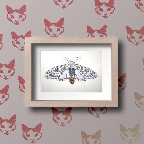 Giant Leopard Moth Watercolor Original Handma...