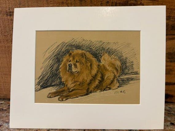 Chow by Lucy Dawson...
