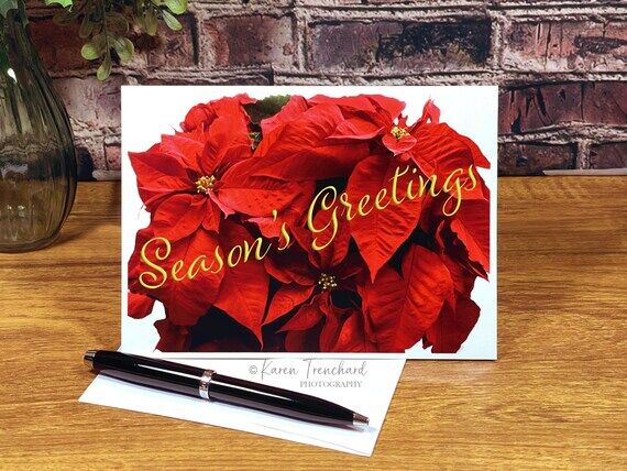 Season's Greetings Holiday Card, Vibrant Red ...