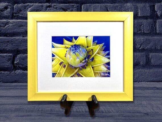 Yellow Framed Botanical Photo Art, Artichoke-...