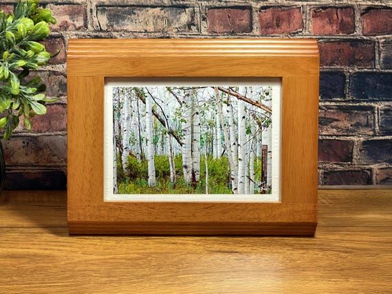 Small Framed Aspen Forest Print, Vintage Wood...