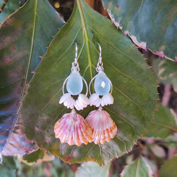 Sunrise shells and puka shells from Kaua'i an...