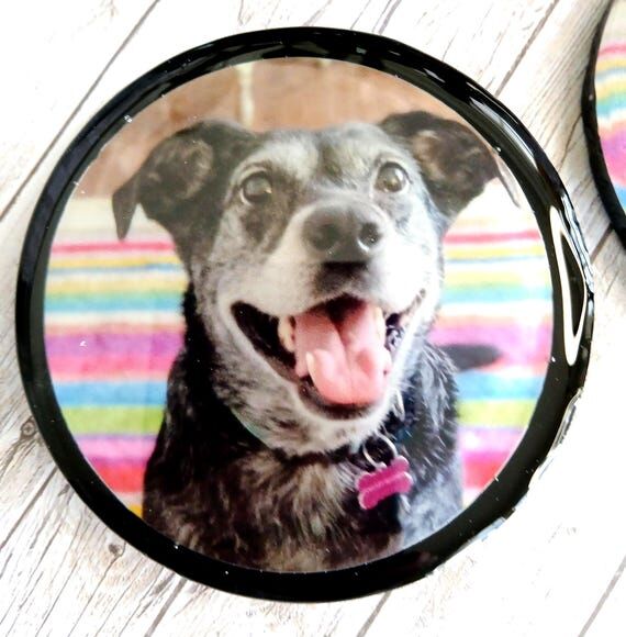 Lilley Service Dog Coasters, Smiling Dog Phot...