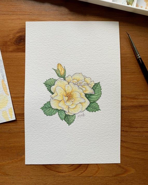 Yellow roses in watercolor, original watercol...