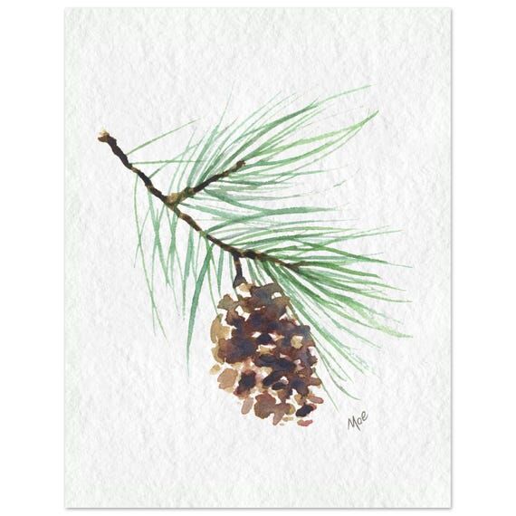 Elegant Pine Branch Watercolor Art - Fine Art...