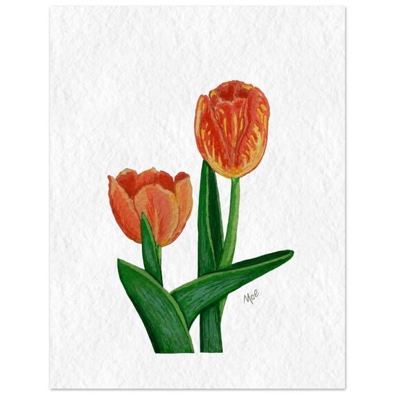 Vibrant Orange Tulips Fine Art Print - Gouach...