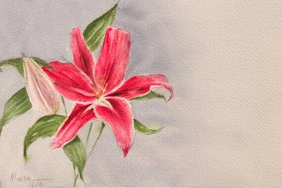 Hand Painted Lily Postcard | Original Waterco...