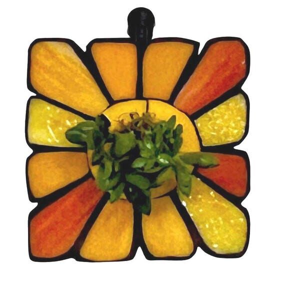 Succulent Wall Planter | Whimsical Sunflower ...