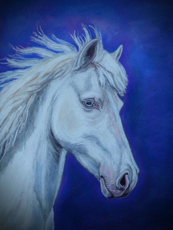 Majestic white horse original animal wall ar...