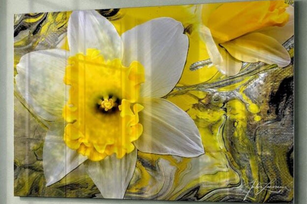 Amber Lamoreaux Arts