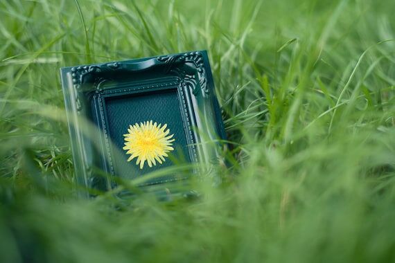 Dandelion Original Realistic Mini Acrylic Pai...