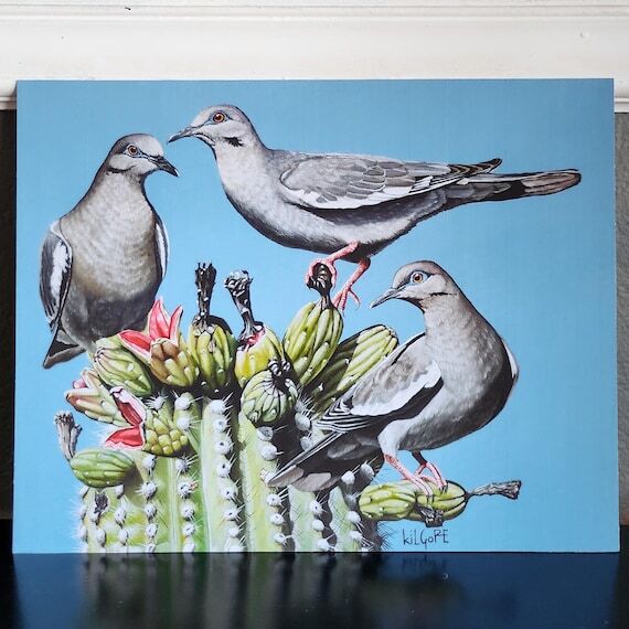 White Winged Dove - Limited Edition Fine Art ...