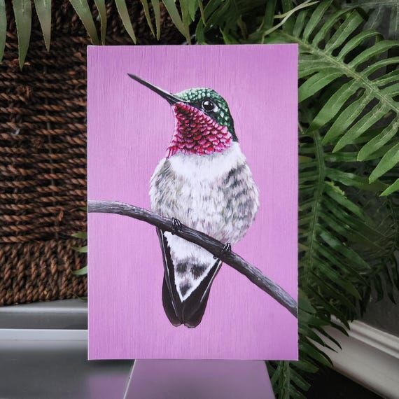 Broad Tailed Hummingbird - Limited Edition Fi...