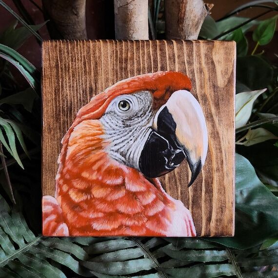 Scarlet Macaw Oil Painting on Wood, Exotic Pa...