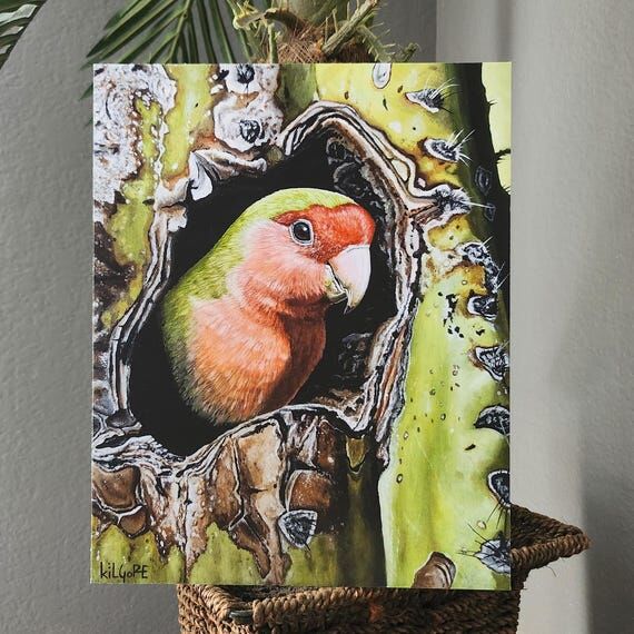 Lovebird in a Cactus - Limited Edition Fine A...