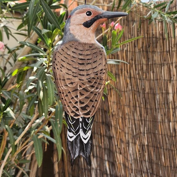 Northern Flicker - Handmade, Painted Bird on ...