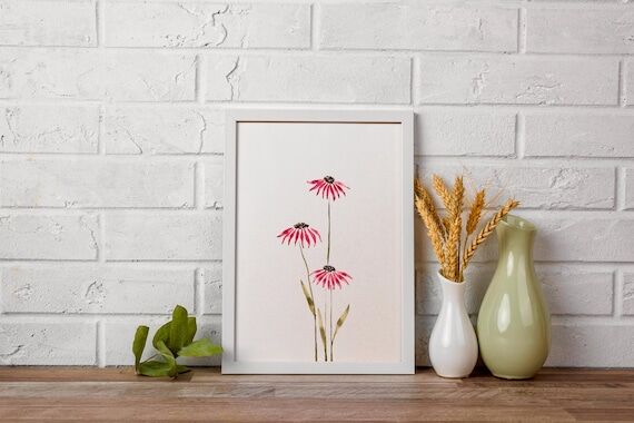 Original Watercolor Echinacea(not printed), M...