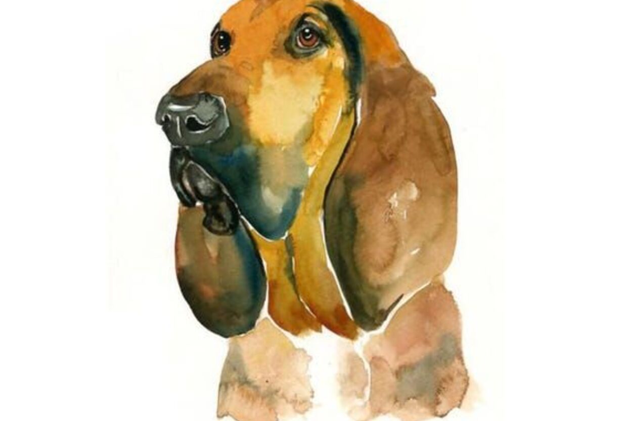 Dimdi