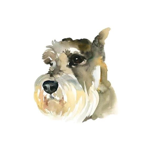 Hand Painted Watercolor Pet Portrait: Custom ...