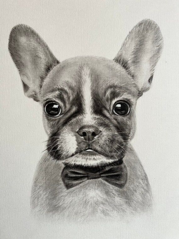 French Bulldog Portrait – Original Oil Pain...