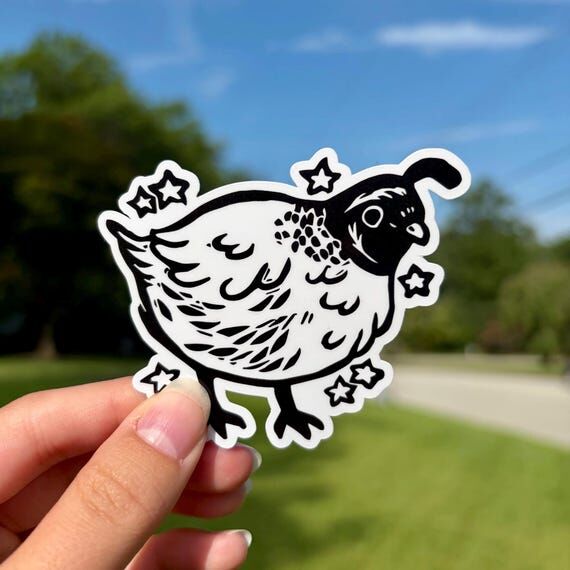 California Quail Vinyl Sticker | Water Resist...