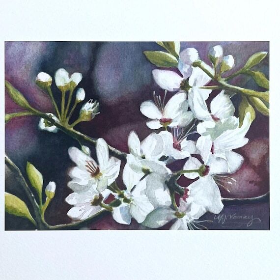 Pear Blossom Watercolor Print, White Flowerin...
