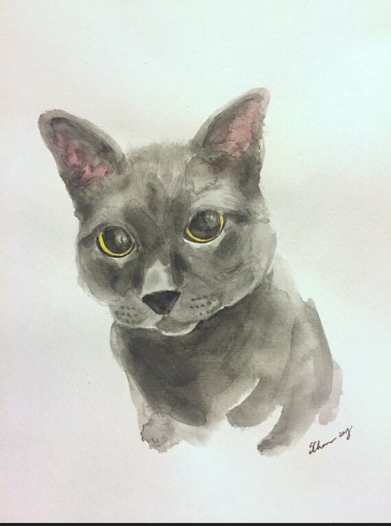 Watercolor Cat Portrait, custom pet portrait,...