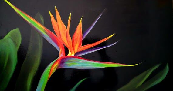 Bird of Paradise Oil Painting: Neon Tropical ...