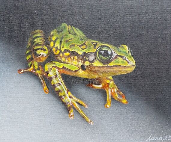 green beautiful frog, hyperrealism frog, real...