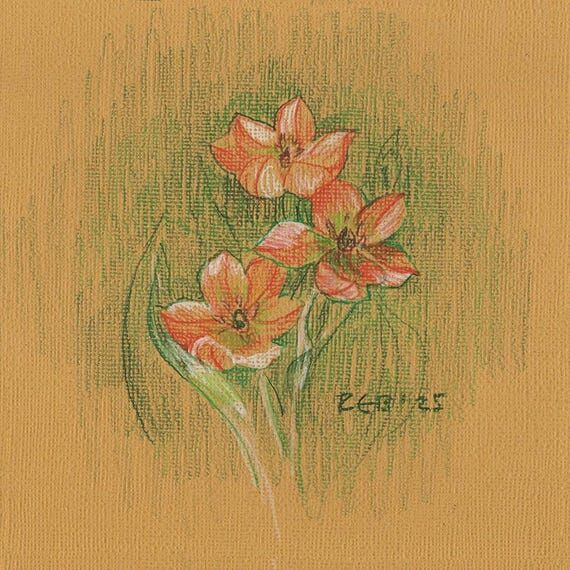 Handmade Sun Star Sketch | Original Botanical...