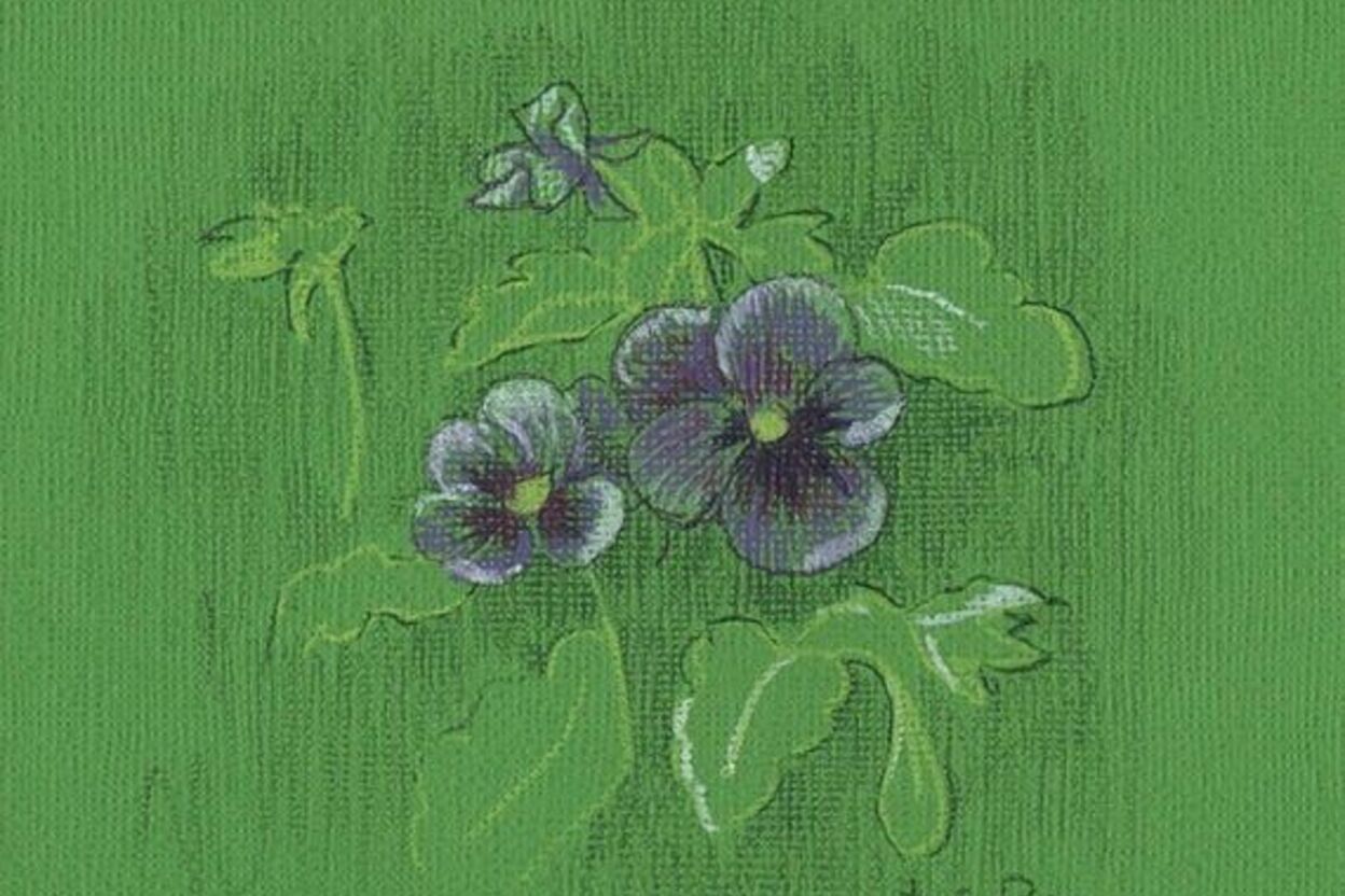 Ruth Bohn Studio