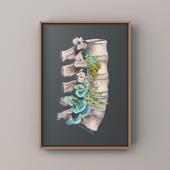 Floral Lumbar Spine Vertebrae Print of Oil Pa...