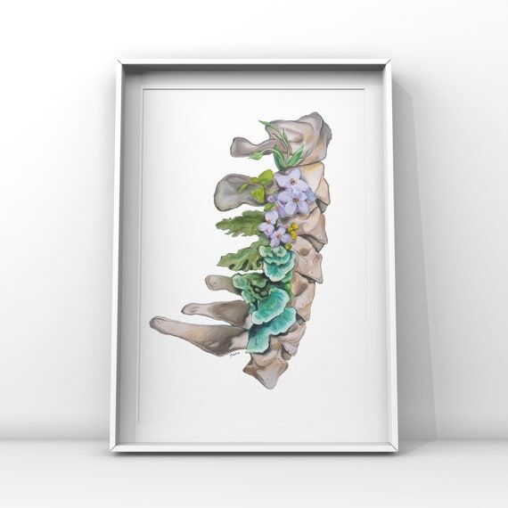 Floral Cervical Spine White Vertebrae Print o...