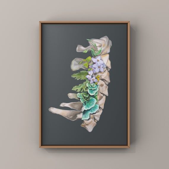 Floral Cervical Spine Vertebrae Print of Oil ...