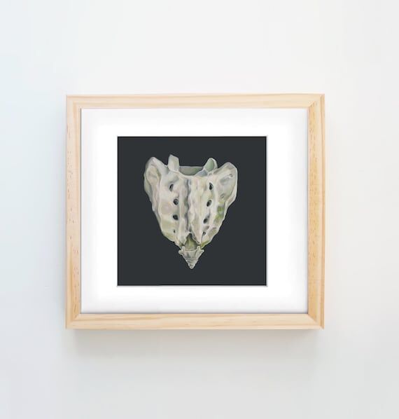 Mossy Sacrum Print of Oil Painting - Anatomic...