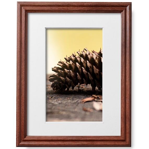 8x10 Walnut Picture Frame Matted to 5x7 for W...